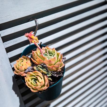 L' Evea Garden Le Relecq-Kerhuon Luaran gambar